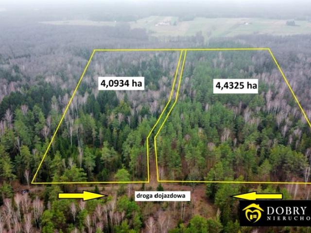 Działka 40 934 m², Tajenko