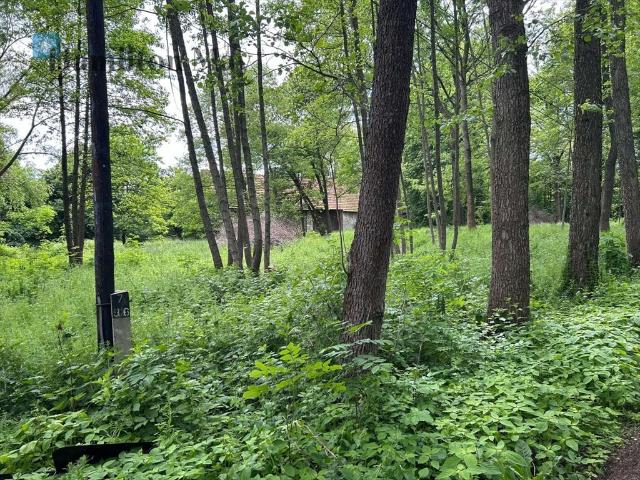 Działka 8600 m² z budynkiem i dostępem do dróg asfaltowych