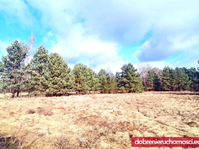 Działka 867 m², Kruszyn Krajeński