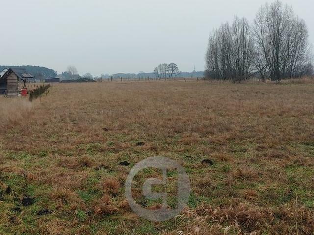 Działka 865 m² z Warunkami Zabudowy w Łagodzinie