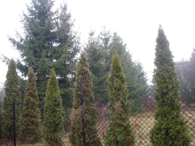 Działka 870 m², Tłuszcz