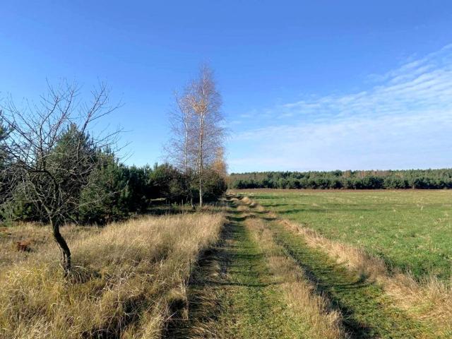 Działka 878 m², Olimpia