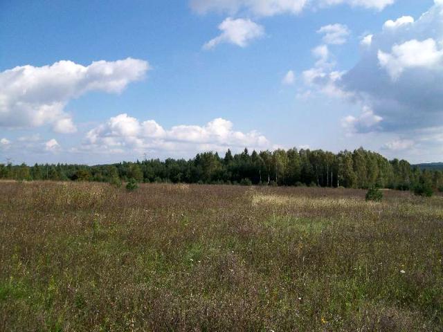 Działka 87 461 m², Grodzisko