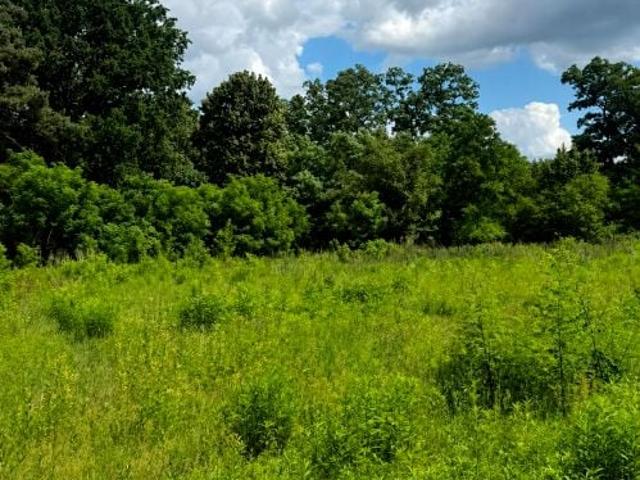 Działka 880 m², Zagościniec