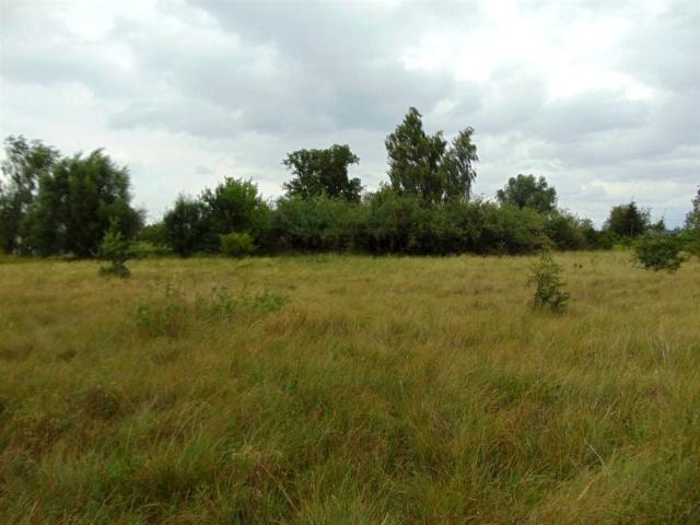 Działka 894 m², Pędzewo