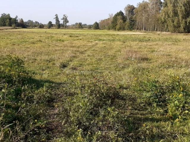 Działka 803 m², Jagodnia