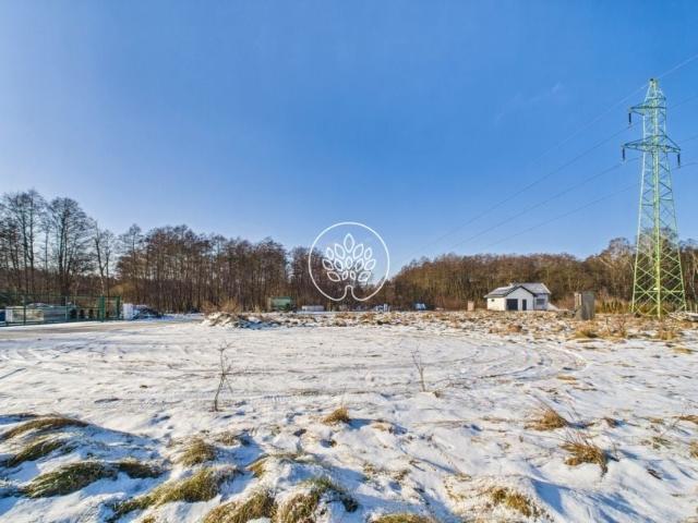 Ojrzanowo 800 m², Łabiszyn
