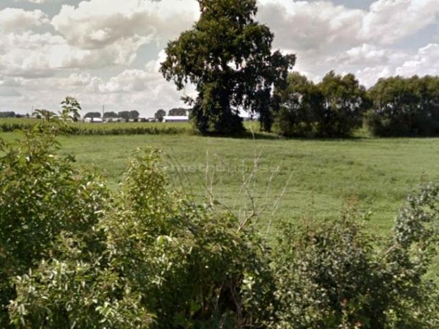 Działka 800 m², Borkowice