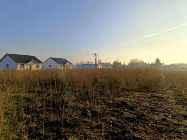 Działka 800 m², Janowiec Wielkopolski