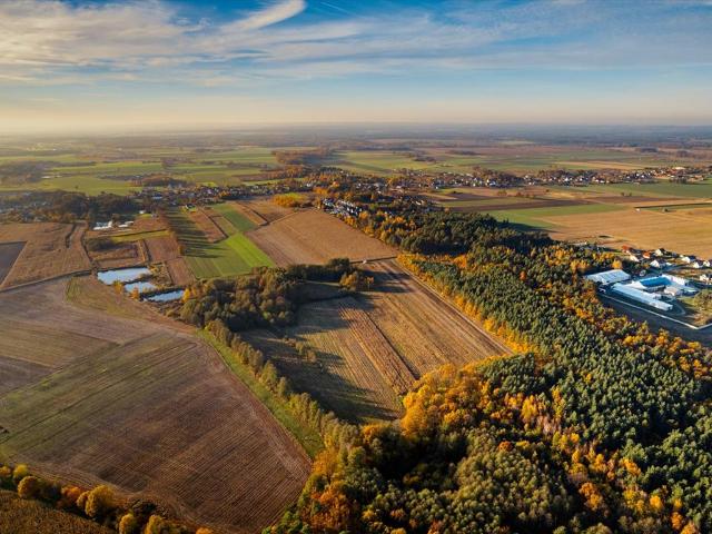 Działka 801 m2 z lasem, blisko Wrocławia i plaży