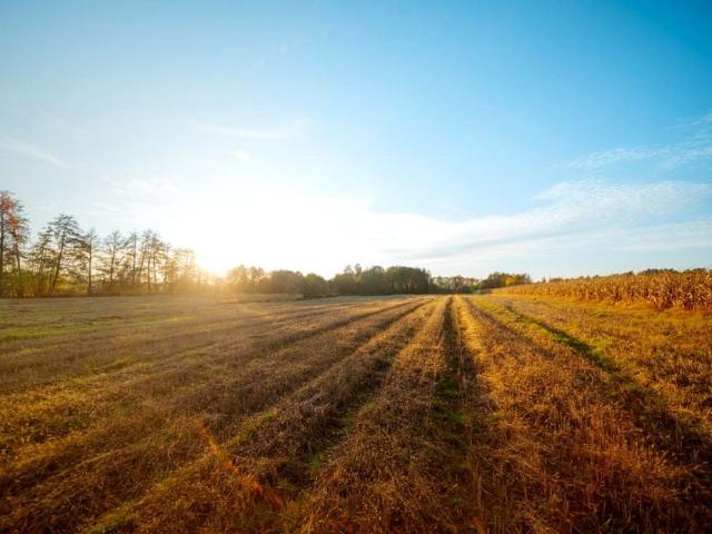 Działka 806 m², Długołęka