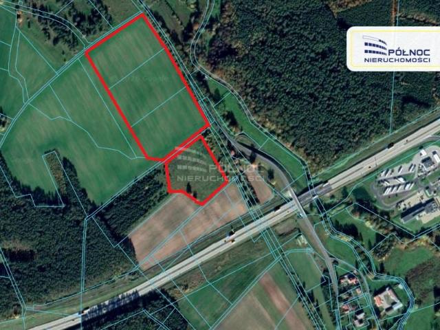 Działka 80 900 m², Dąbrowa Bolesławiecka