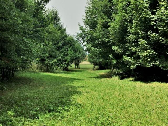 Działka 81 414 m², Łebno
