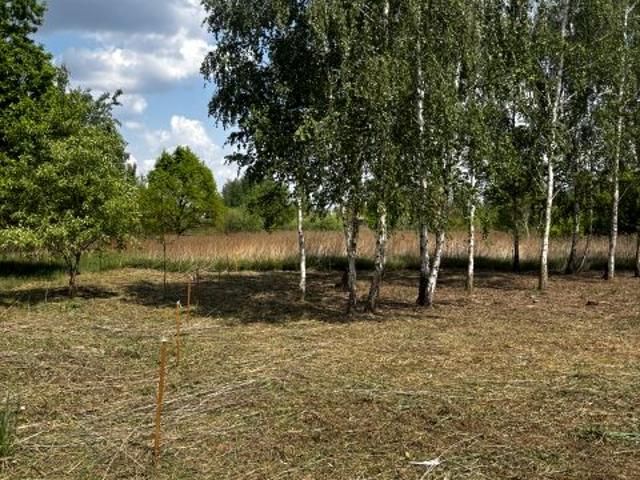 Działka 822 m², Borzęcin Duży