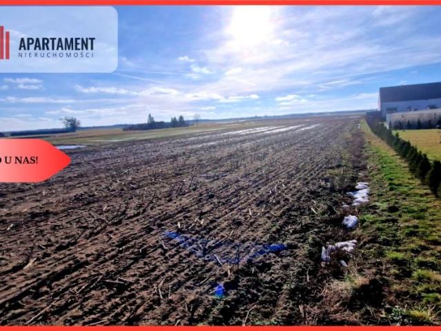 Działka 828 m², Sępólno Krajeńskie