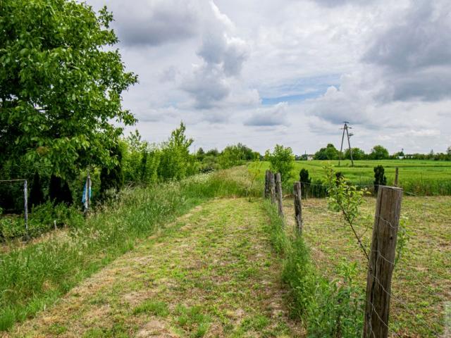Działka 830 m², Wierzbna