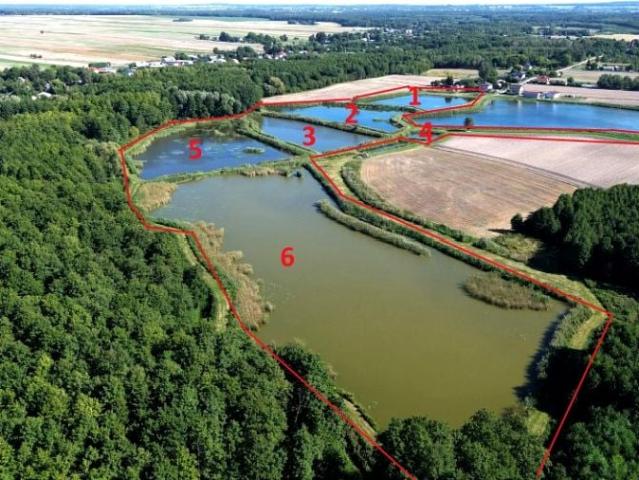 Działka 83 200 m², Żulin