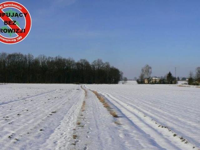 Działka 8 000 m², Krężnica Jara