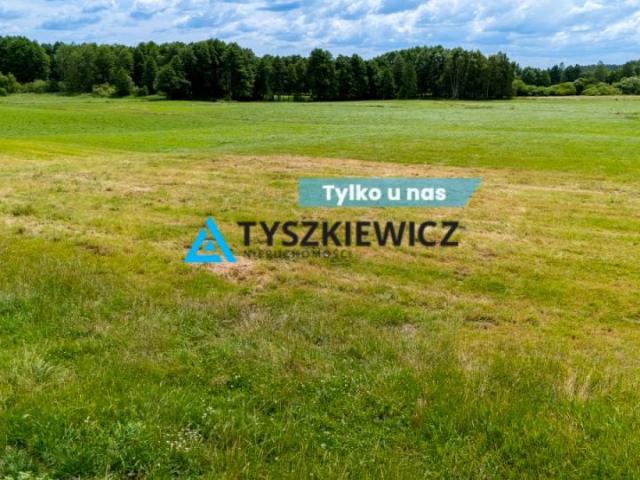 Działka 8 000 m², Lubieszyn