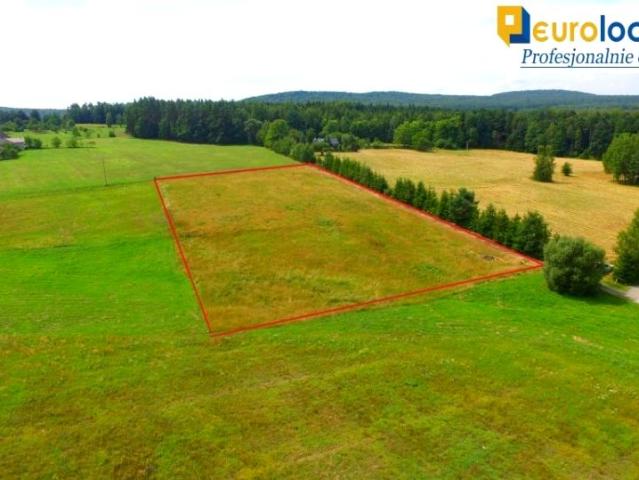 Działka 8 000 m², Makoszyn