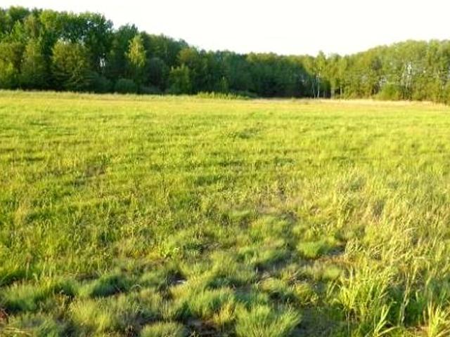 Działka 8 000 m², Radzymin