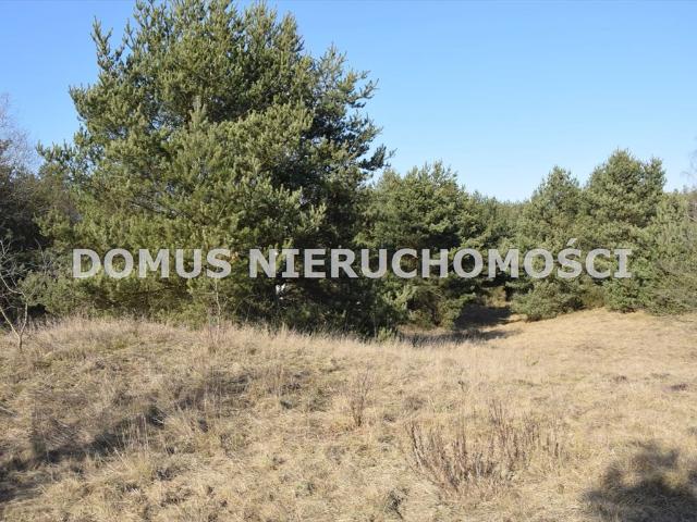 Działka 8 000 m² w Tworzyjankach cisza i prywatność
