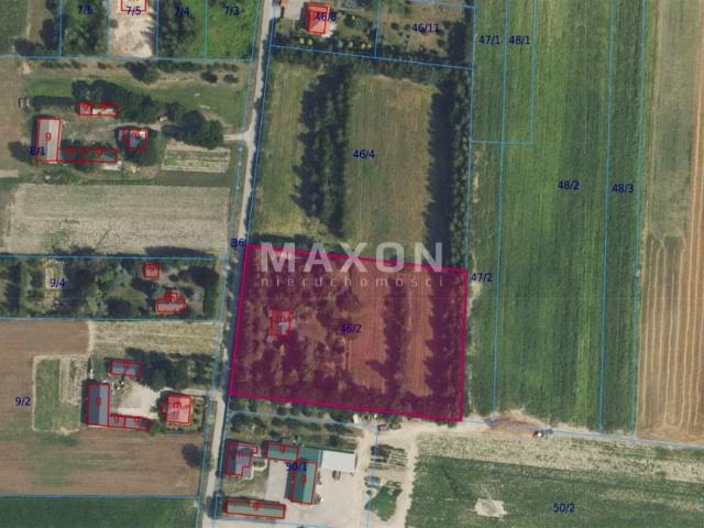 Działka 8 000 m², Wąsy Kolonia