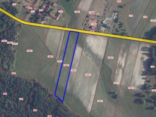Działka 8 000 m² z warunkami zabudowy i dostępem do mediów