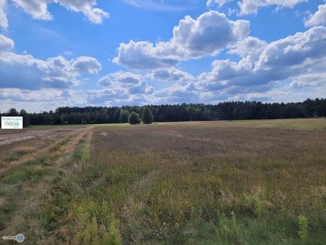 Polecam działkę 8 000 m² z warunkami zabudowy i dostępem do mediów