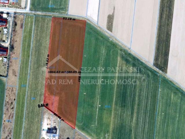 Działka 8 001 m² pod inwestycję lub dom w Terebeli