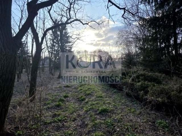 Działka 8 021 m², Posługowo