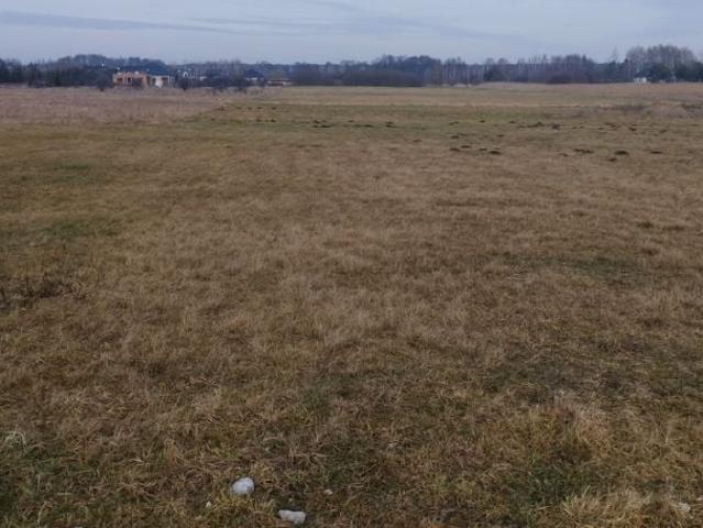 Działka 8 043 m², Żelechów