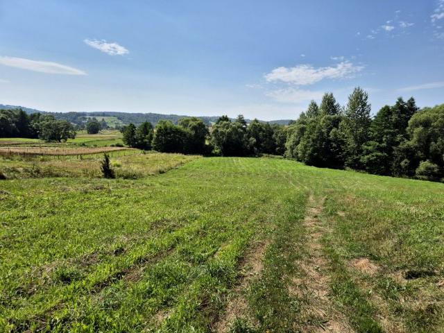 Działka 8 051 m², Golcowa