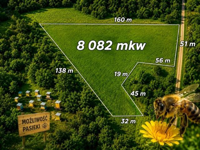 Działka 8 082 m², Czułów