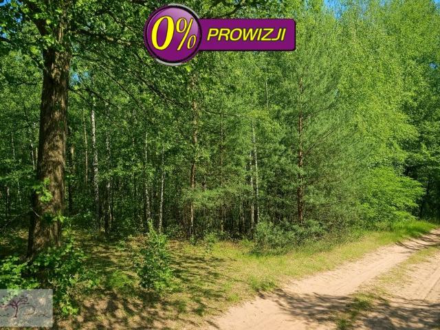 Działka 8 097 m², Brójce
