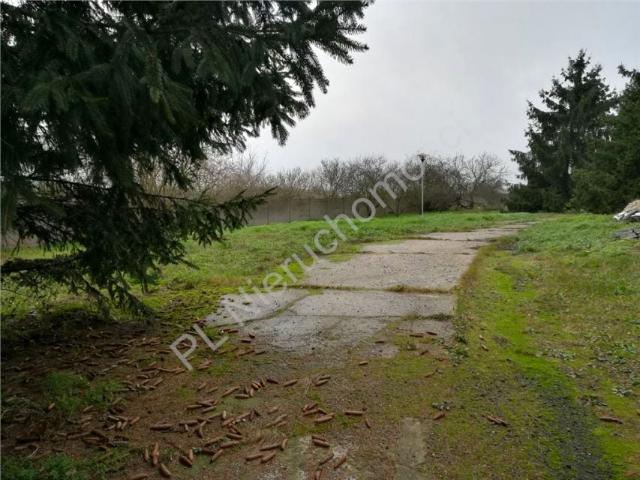 Działka 8 091 m², Szeligi