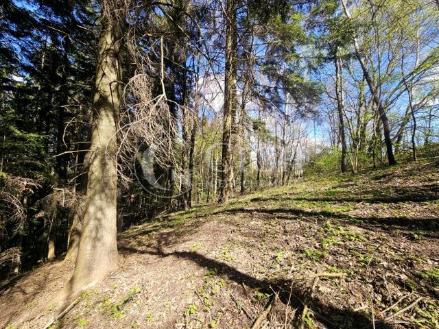 Działka 8 100 m², Ostrusza