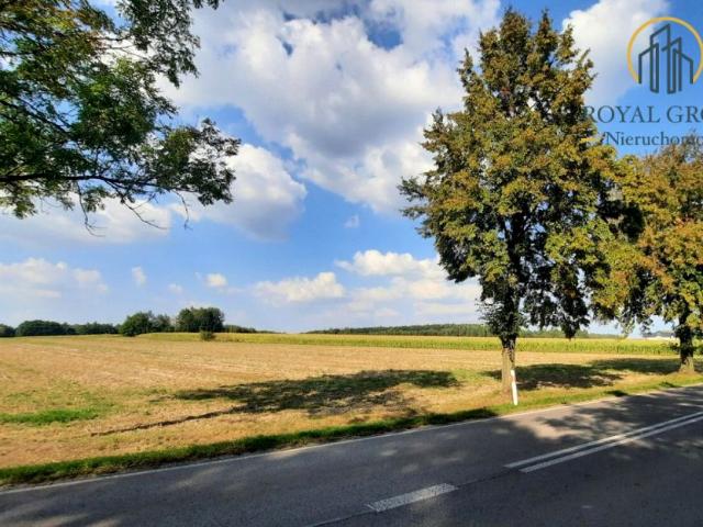 Działka 8 100 m², Rudno