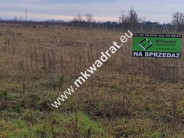 Działka 8 264 m², Tłumy
