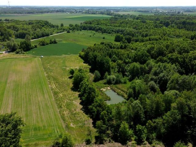 Działka 8 270 m², Wielichowo