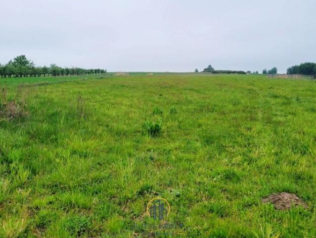 Działka 8 284 m², Przytoczno