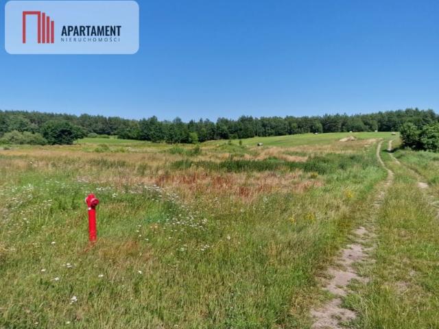 Działka 8 308 m², Roztoka