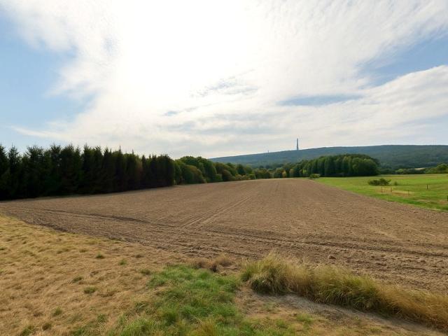 Działka 8 300 m², Nowa Słupia