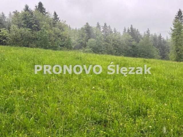 Działka 8 300 m², Krużlowa Wyżna