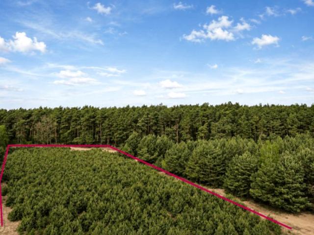 Działka 8 302 m², Grabówiec