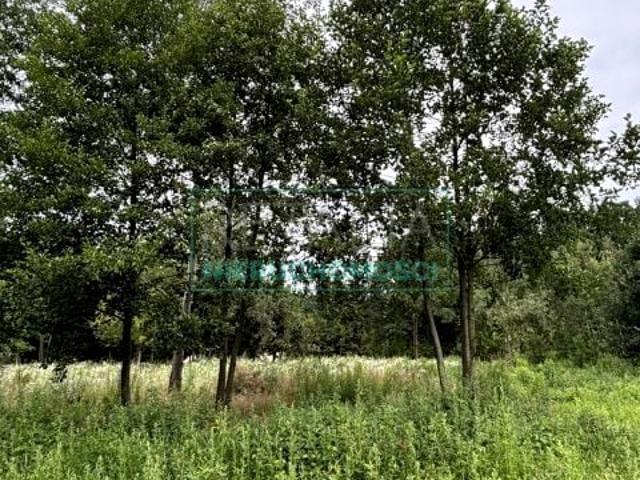 Działka 8 303 m², Mościska