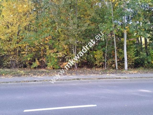Działka 8 369 m², Wyględy