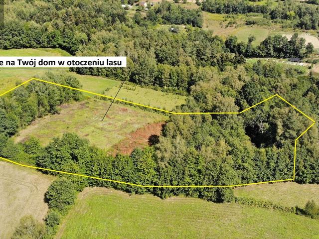 Działka 8,7 ha z lasem i możliwością zabudowy