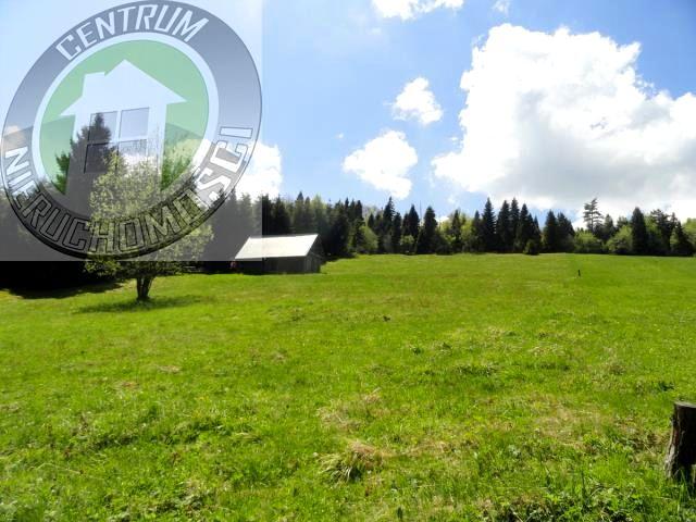Działka 8 400 m², Ochotnica Dolna