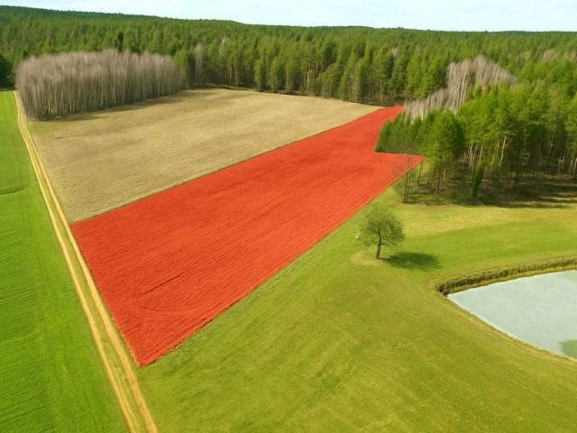 Działka 8 424 m², Pieńki